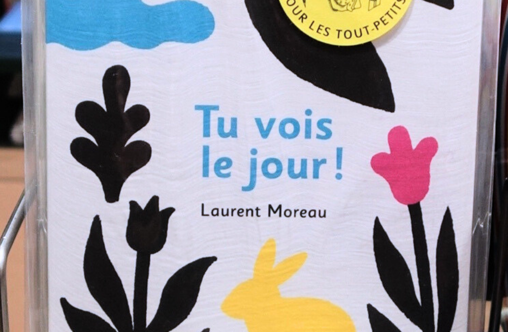 Une couverture en noir et blanc : des éléments natures : fleurs, herbes, oiseaux avec quelques éléments en couleur : un nuage bleu, des fleurs roses, le bec de l'oiseau rose, un lapin jaune