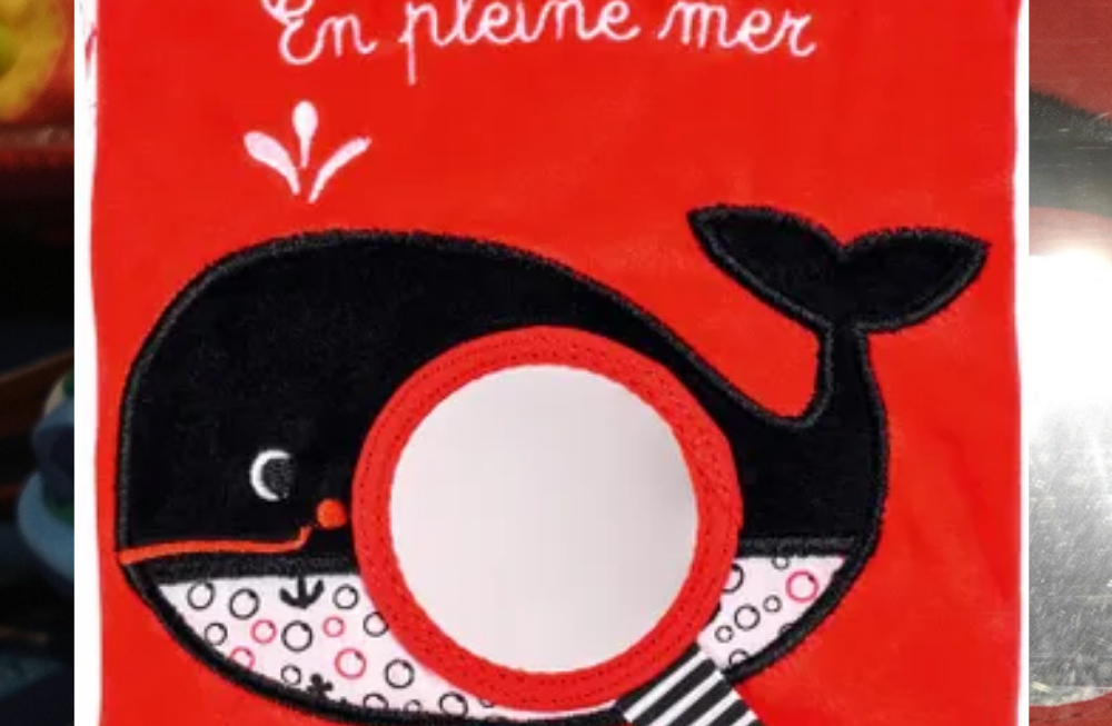 Livre de forme carré rouge avec une baleine noir et blanc sur laquelle il y a un miroir